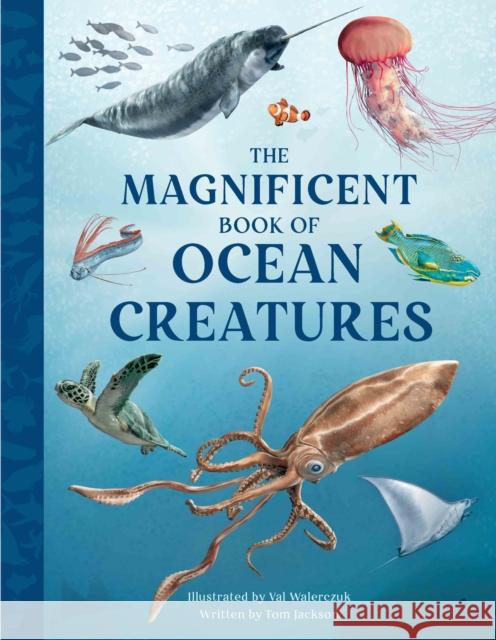 The Magnificent Book of Ocean Creatures Tom Jackson 9781915588401 Weldon Owen Children's Books - książka