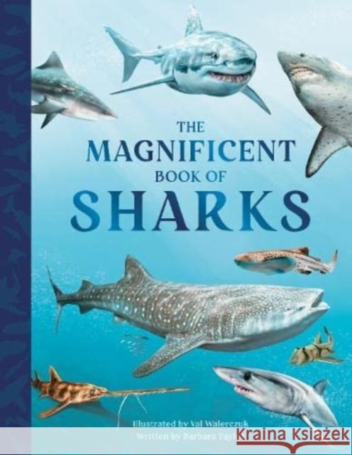 The Magnificent Book of Sharks Barbara Taylor 9781915588050 Weldon Owen Children's Books - książka