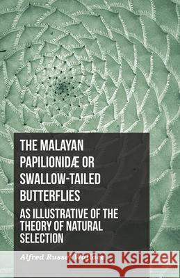 The Malayan Papilionidæ or Swallow-tailed Butterflies, as Illustrative of the Theory of Natural Selection Wallace, Alfred Russel 9781473329812 Read Books - książka