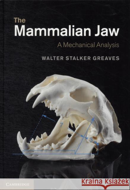 The Mammalian Jaw: A Mechanical Analysis Greaves, Walter Stalker 9781107016224  - książka