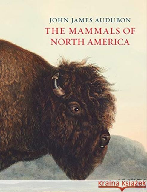 The Mammals of North America John James Audubon 9780565094843 The Natural History Museum - książka