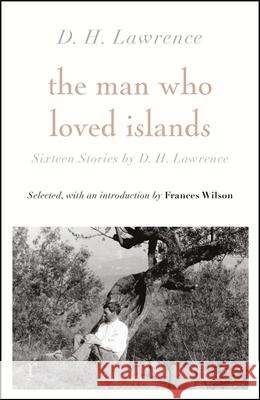 The Man Who Loved Islands: Sixteen Stories (riverrun editions) by D H Lawrence D H Lawrence 9781529412567 Quercus Publishing - książka