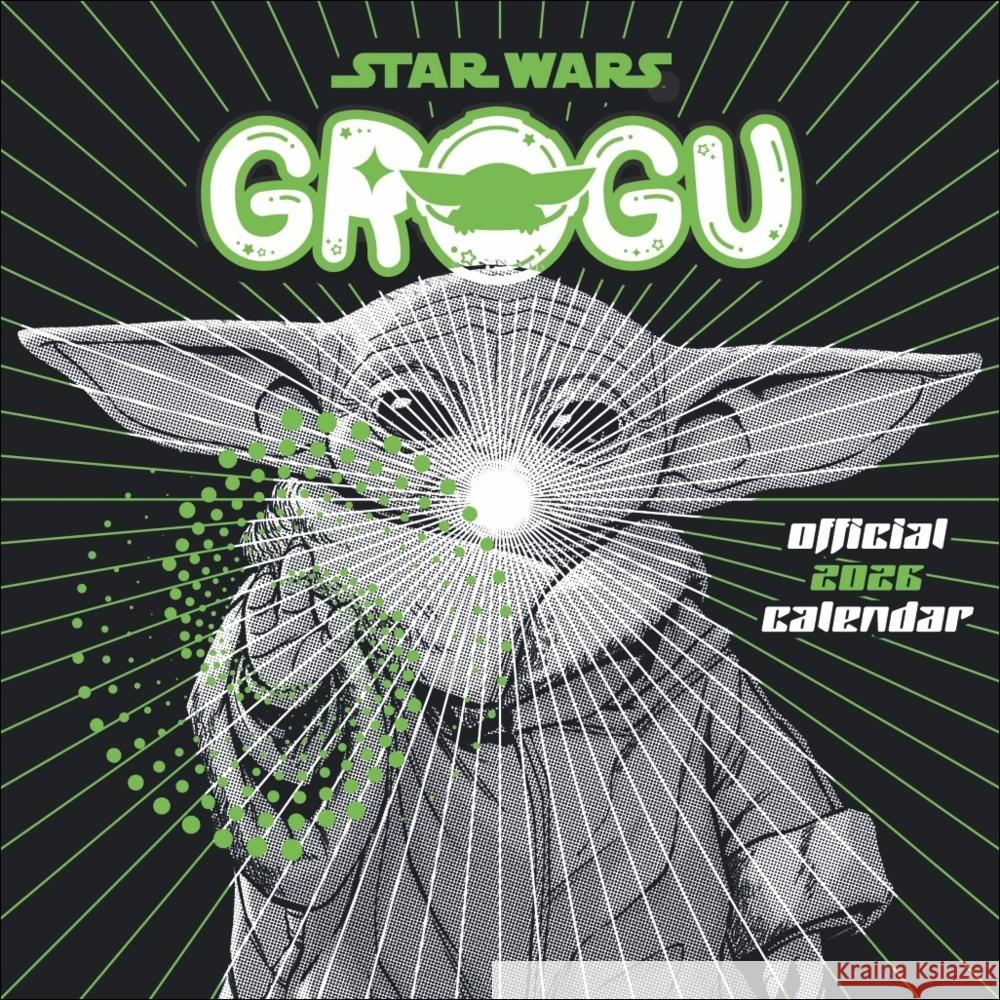 The Mandalorian Broschurkalender 2026  9783840197062 Danilo - książka