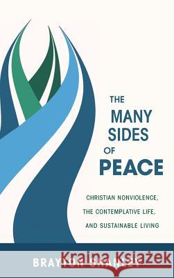 The Many Sides of Peace Brayton Shanley 9781498266222 Resource Publications (CA) - książka