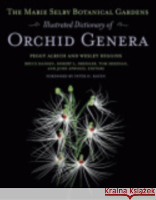 The Marie Selby Botanical Gardens Illustrated Dictionary of Orchid Genera Peggy Alrich 9780801447372 Cornell University Press - książka
