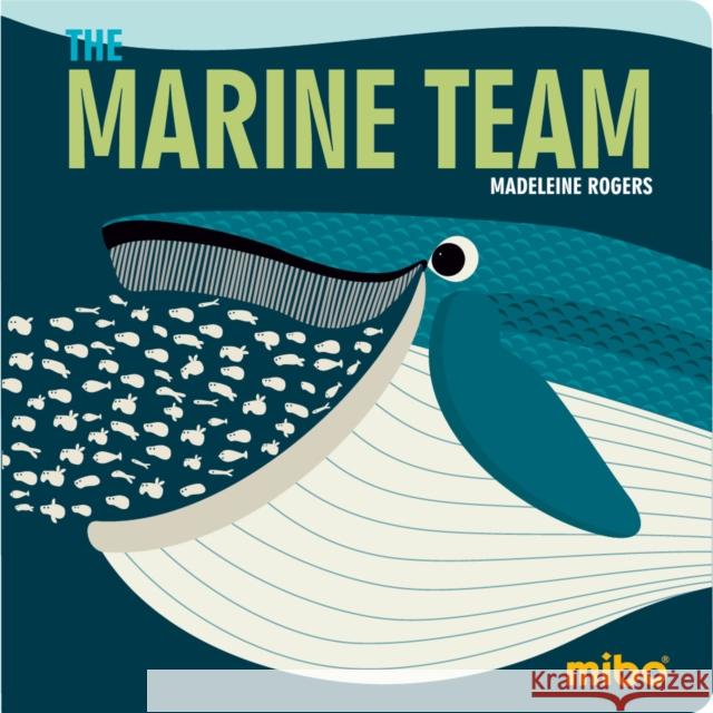 The Marine Team Madeleine Rogers Jason Hook 9781908985866 Button Books - książka