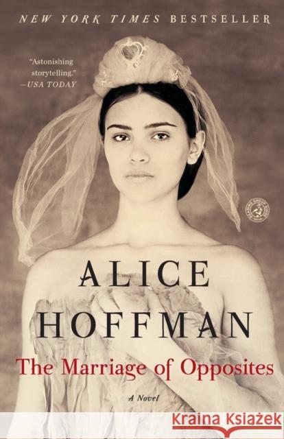 The Marriage of Opposites Alice Hoffman 9781451693607 Simon & Schuster - książka