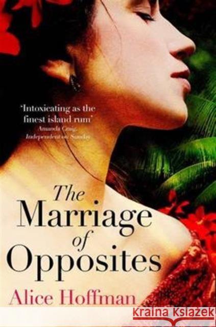 The Marriage of Opposites Alice Hoffman 9781471112119 Simon & Schuster Ltd - książka