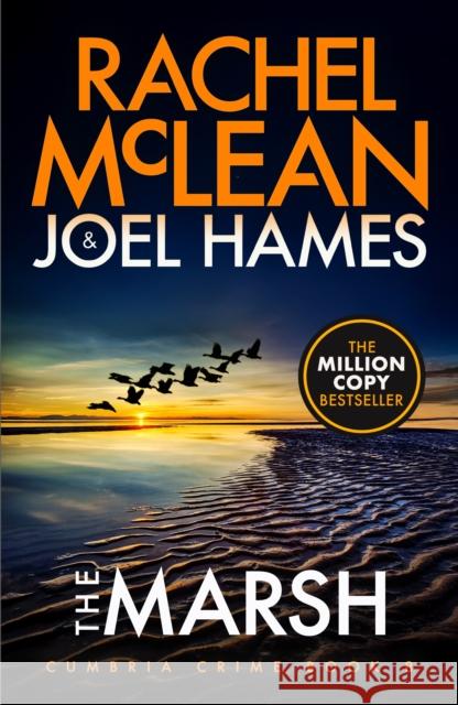 The Marsh Joel Hames 9781835602478 Ackroyd Publishing - książka