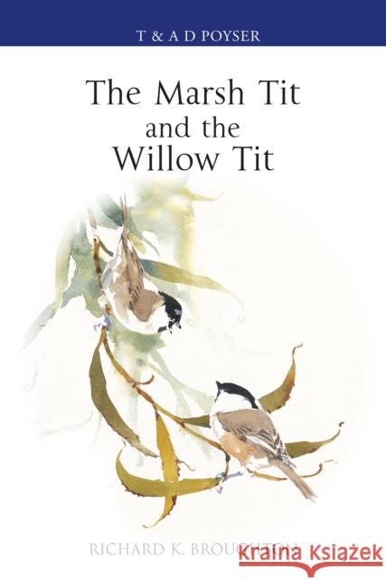 The Marsh Tit and The Willow Tit Richard Broughton 9781472980311 Bloomsbury Publishing PLC - książka