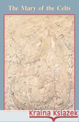The Mary of the Celts Andrew Breeze 9780852446829 Gracewing - książka