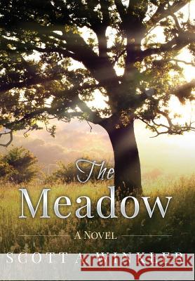 The Meadow Scott a. Winkler 9780999357484 Peregrino Press - książka