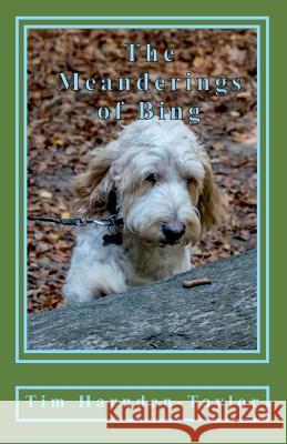 The Meanderings of Bing: A gentle, humorous look at life, snooker, whizzers and other great philosophical mysteries through the meanderings of Harnden-Taylor, Tim 9780995649507 Saron Publishing - książka
