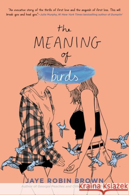 The Meaning of Birds Jaye Robin Brown 9780062824561 HarperCollins Publishers Inc - książka