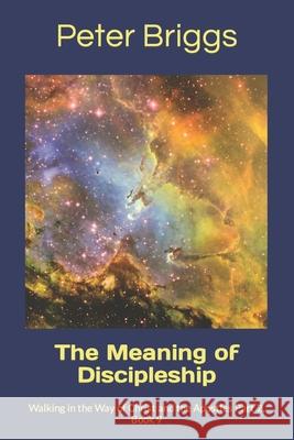 The Meaning of Discipleship: Walking in the Way of Christ and the Apostles Part 2, Book 9 Peter Briggs 9781947642126 Daystar Institute / Nm, Inc. - książka