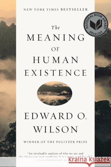 The Meaning of Human Existence Edward O. Wilson 9781631491146 WW Norton & Co - książka