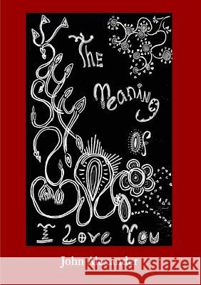 The Meaning of I Love You John Alexander 9781445215853 Lulu.com - książka