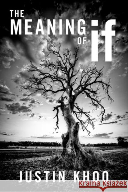 The Meaning of If Justin Khoo 9780190096700 Oxford University Press, USA - książka