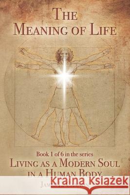 The Meaning of Life: Purpose and Mission of the Human Soul James L. Cannon 9781546317241 Createspace Independent Publishing Platform - książka