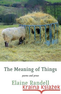 The Meaning of Things Elaine Randell 9781848615144 Shearsman Books - książka