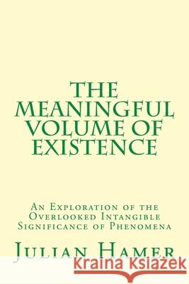 The Meaningful Volume of Existence: An Exploration of the Overlooked Intangible Significance of Phenomena Julian Hamer 9780692511800 Julian Hamer - książka