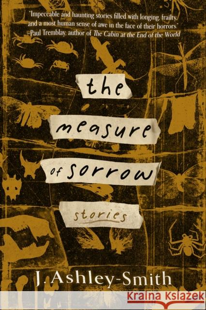 The Measure of Sorrow: Stories J. Ashley-Smith 9781946154774 Meerkat Press - książka