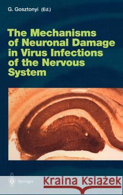 The Mechanisms of Neuronal Damage in Virus Infections of the Nervous System G. Gosztonyi Georg Gosztonyi 9783540676171 Springer - książka