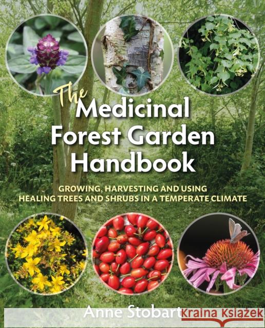 The Medicinal Forest Garden Handbook: Growing, Harvesting and Using Healing Trees and Shrubs in a Temperate Climate Anne Stobart 9781856233323 Permanent Publications - książka