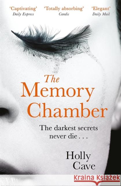 The Memory Chamber Cave, Holly 9781786485373 Quercus Publishing - książka