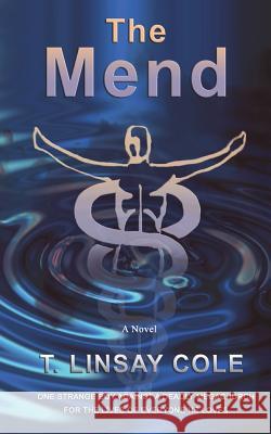 The Mend T. Linsay Cole Dawn Howard 9780980230734 Howard-Hirsch Publishing - książka