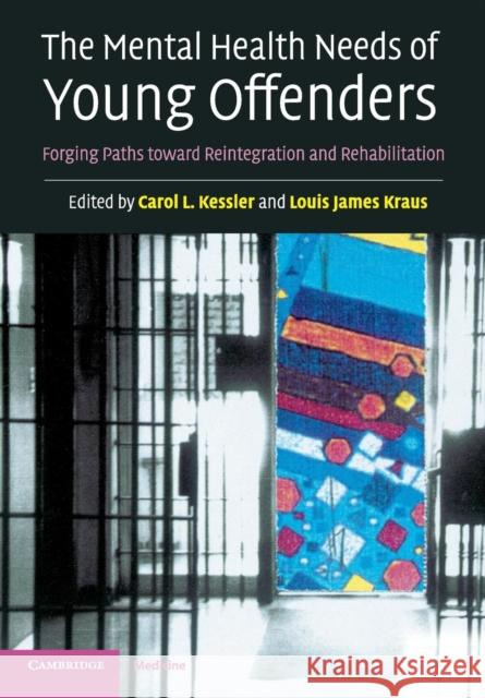 The Mental Health Needs of Young Offenders: Forging Paths Toward Reintegration and Rehabilitation Kessler, Carol L. 9780521612906 Cambridge University Press - książka