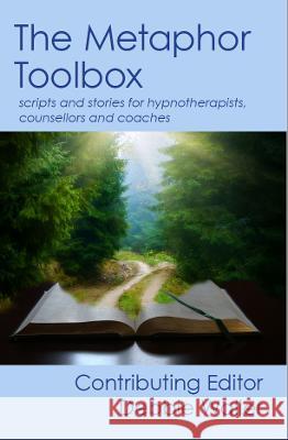 The Metaphor Toolbox: Scripts and stories for hypnotherapists, counsellors and coaches Debbie Waller 9781739157302 Debbie Waller - książka