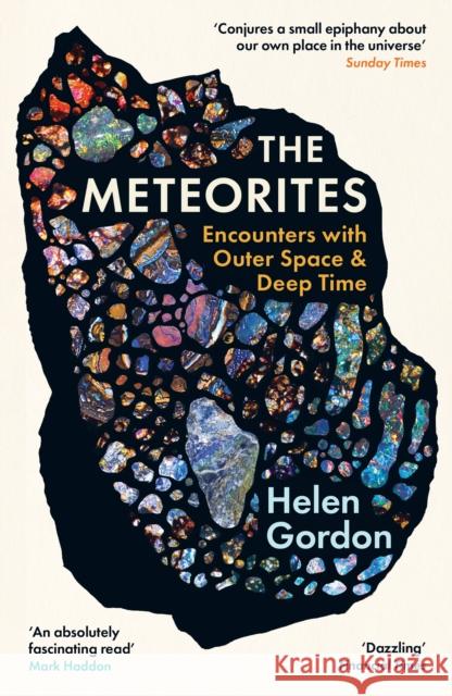 The Meteorites: Encounters with Outer Space and Deep Time Helen Gordon 9781800815353 PROFILE BOOKS - książka