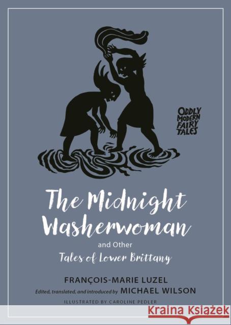 The Midnight Washerwoman and Other Tales of Lower Brittany Francois-Marie Luzel Michael Wilson Michael Wilson 9780691252698 Princeton University Press - książka