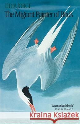 The Migrant Painter of Birds L Jorge 9781846558313 Vintage Publishing - książka