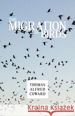 The Migration of Birds Thomas Alfred Coward 9781473335523 Thousand Fields - książka