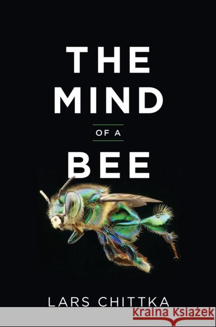 The Mind of a Bee Lars Chittka 9780691180472 Princeton University Press - książka