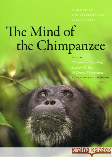 The Mind of the Chimpanzee: Ecological and Experimental Perspectives Elizabeth V. Lonsdorf Stephen R. Ross Tetsuro Matsuzawa 9780226492797 University of Chicago Press - książka