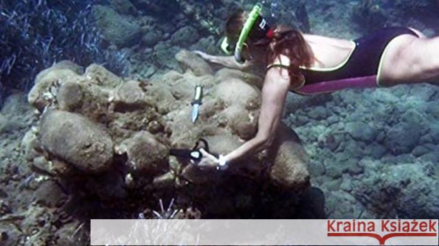 The Minoan Shipwreck at Pseira, Crete Elpida Hadjidaki-Marder 9781931534291 INSTAP Academic Press - książka