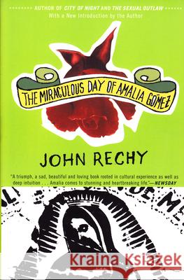 The Miraculous Day of Amalia Gómez Rechy, John 9780802138477 Grove/Atlantic - książka