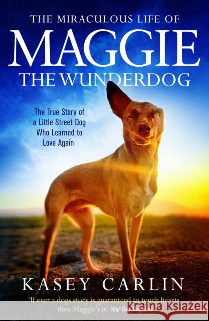 The Miraculous Life of Maggie the Wunderdog: The true story of a little street dog who learned to love again Kasey Carlin 9781913406349 Mirror Books - książka