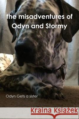 The misadventures of Odyn and Stormy Alan, J. 9781312680692 Lulu.com - książka
