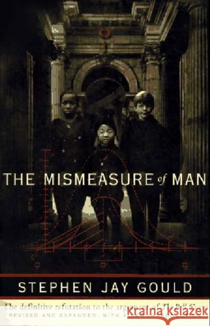 The Mismeasure of Man S J Gould 9780393314250  - książka