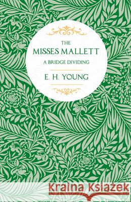 The Misses Mallett: A Bridge Dividing Young, E. H. 9781406794847 Pomona Press - książka