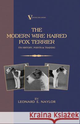 The Modern Wire Haired Fox Terrier - Its History, Points & Training (A Vintage Dog Books Breed Classic): Vintage Dog Books Naylor, Leonard E. 9781905124411 Vintage Dog Books - książka