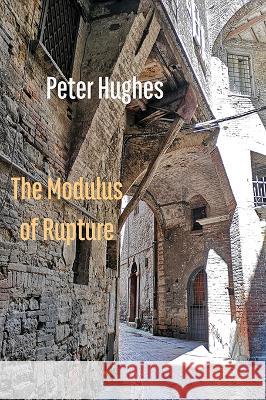 The Modulus of Rupture Peter Hughes 9781848618787 Shearsman Books - książka