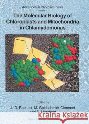 The Molecular Biology of Chloroplasts and Mitochondria in Chlamydomonas J. D. Rochaix M. Goldschmidt-Clermont S. Merchant 9780792351740 Kluwer Academic Publishers - książka