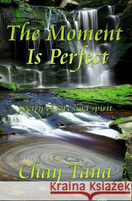 The Moment Is Perfect Chay Tana 9781494361457 Createspace - książka