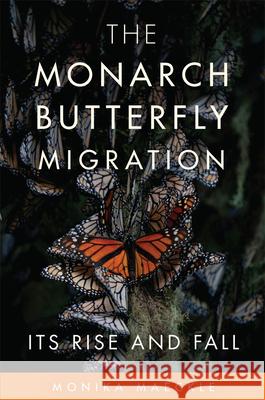 The Monarch Butterfly Migration: Its Rise and Fall Monika Maeckle 9780806194561 University of Oklahoma Press - książka