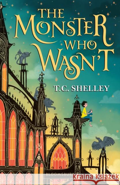 The Monster Who Wasn't T.C. Shelley 9781526600837 Bloomsbury Publishing PLC - książka